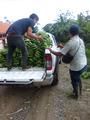 Nissan Frontier • 2006 • 144,000 km 1