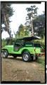 Jeep Renegade • 1978 • 523,630 km 1