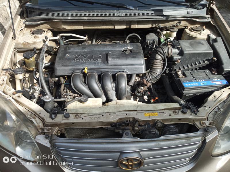 Toyota Corolla • 2004 • 194,109 km 9