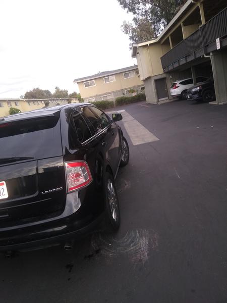 Ford Edge • 2008 • 15,500 km 3