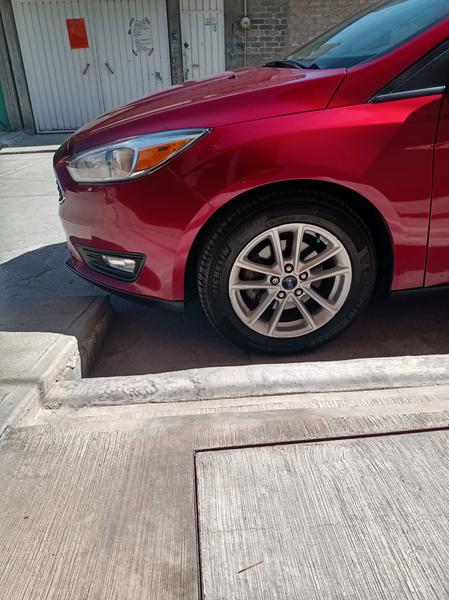 Ford Focus • 2016 • 49,000 km 2