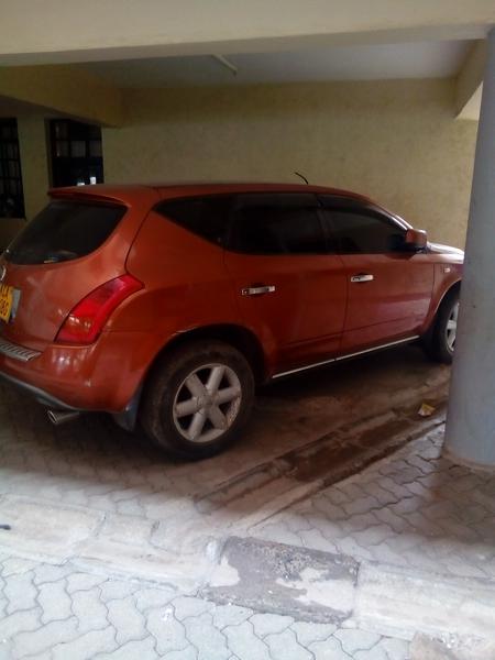 Nissan Murano • 2009 • 150,000 km 2