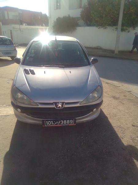 Peugeot 206 • 2001 • 353,069 km 2