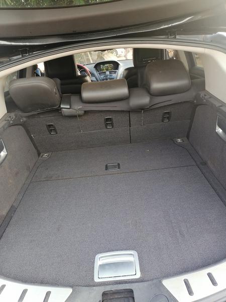 Acura ZDX • 2011 • 100,000 km 4