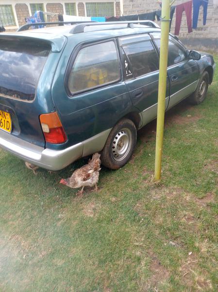 Toyota Corolla • 1999 • 300,254 km 4