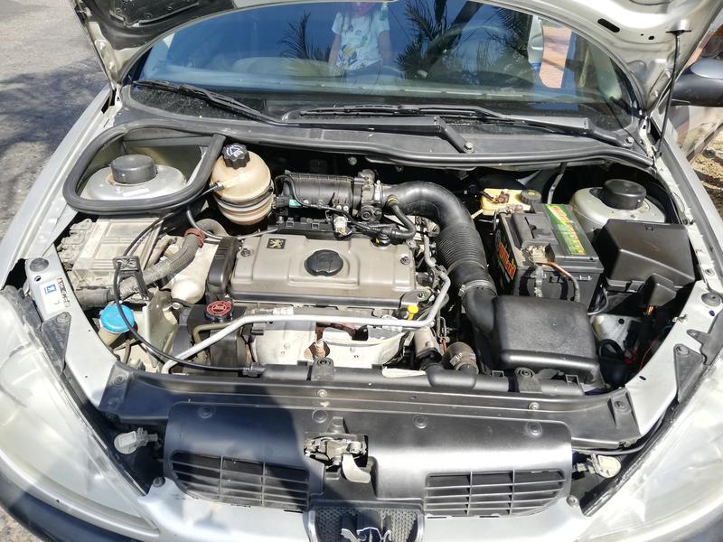 Peugeot 206 • 2006 • 155,000 km 5