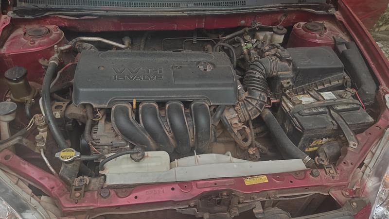 Toyota Corolla • 2005 • 82,366 km 10