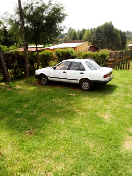Nissan Sunny • 2013 • 15,000 km 3