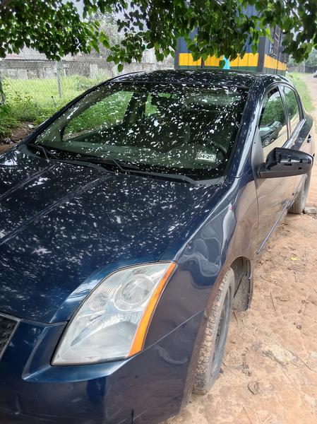 Nissan Sentra • 2008 • 80,000 km 7