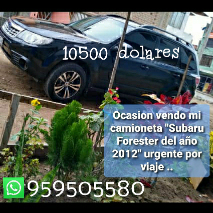 Subaru Forester • 2012 • 1 km 1