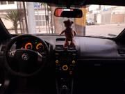 Brilliance H220 • 2012 • 74,300 km 8