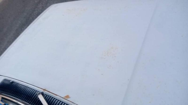 Nissan Sentra • 1985 • 150,000 km 9