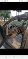 Nissan Pathfinder • 2005 • 136,000 km 2