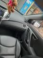 Hyundai Elantra • 2014 • 43,500 km 1