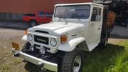 Toyota Land Cruiser • 1978 • 1 km 1