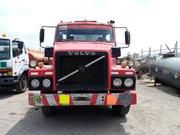 Volvo 240 • 1981 • 10 km 3