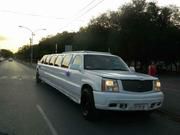 Cadillac Escalade • 2002 • 210,000 km 2