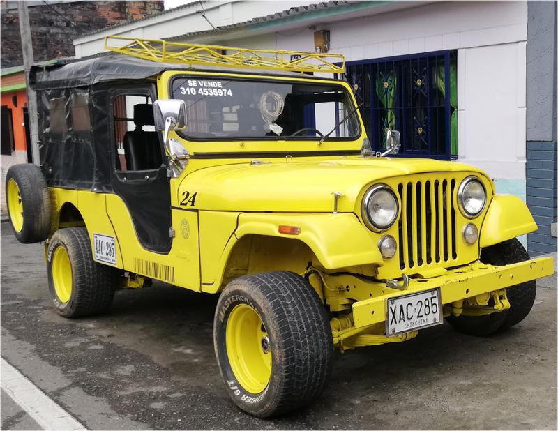 Jeep Patriot • 1975 • 1 km 1