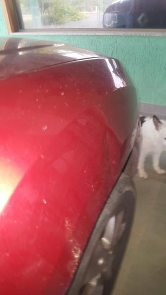 Renault Duster • 2016 • 88,000 km 18