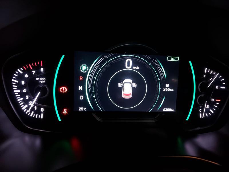 Hyundai Santa Fe • 2019 • 6,300 km 1