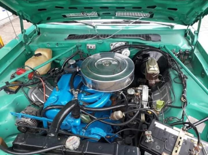 Chevrolet 1500 • 1979 • 4,628 km 11