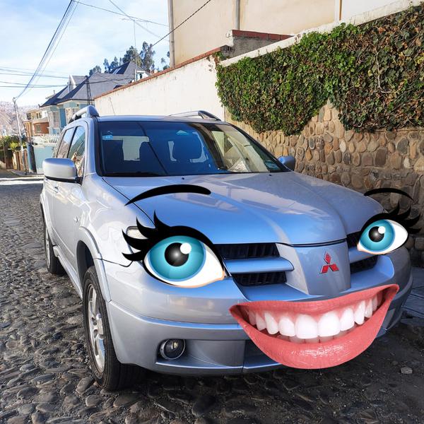 Mitsubishi Outlander • 2007 • 116,000 km 3