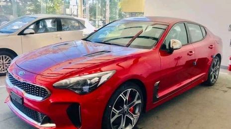 Kia Stinger • 2020 • 50,000 km