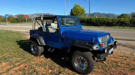 Jeep Wrangler • 1993 • 140,000 km