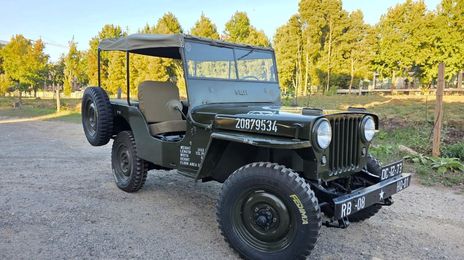 Jeep Wrangler • 1980 • 50,000 km