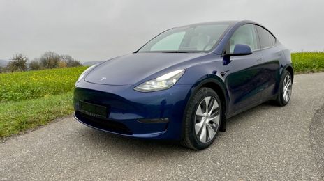 Tesla Model Y • 2021 • 18,730 km
