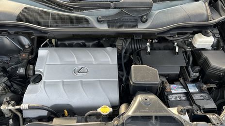 Lexus RX • 2011 • 123,939 km