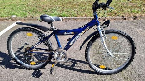 Fox • 2021 • 2021