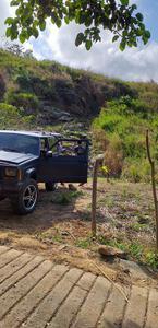 Jeep Cherokee • 2000 • 391,427 km