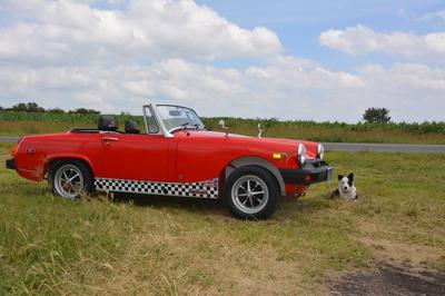 Alfa Romeo MiTo • 1978 • 45,000 km