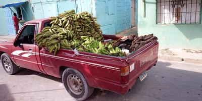 Toyota 86 • 1988 • 50 km