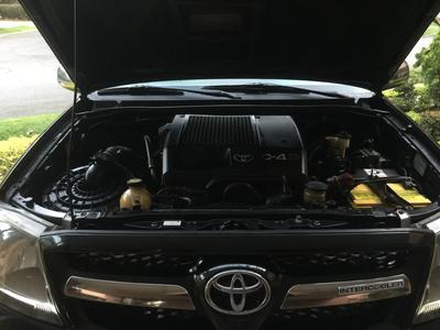 Toyota Hilux • 2007 • 261,231 km