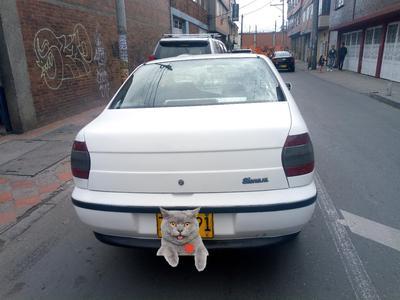 Fiat Palio Weekend • 1998 • 192,000 km