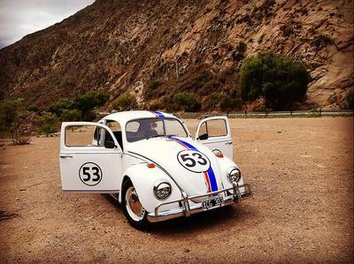 Volkswagen Beetle • 1962 • 111,111 km