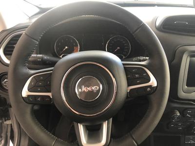 Jeep Renegade • 2020 • 300 km