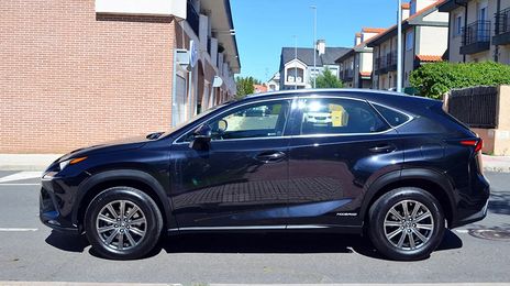 Lexus NX • 2019 • 185,000 km