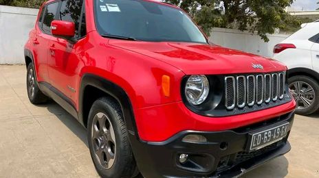 Jeep Renegade • 2019 • 300,000 km