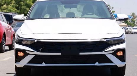 Hyundai Elantra • 2024 • 12,000 km