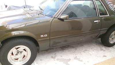 Ford Mustang • 1981 • 200,000 km