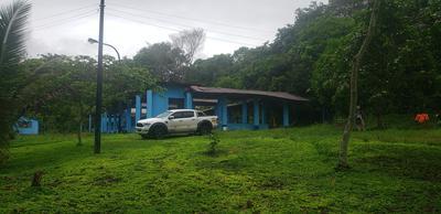 Ford Ranger • 2018 • 42,000 km