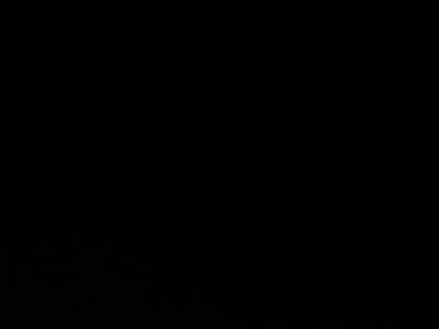 Nissan Sunny • 1996 • 278,000 km