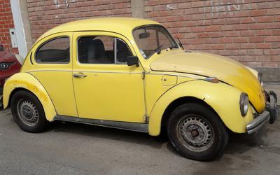 Volkswagen Beetle • 1980 • 1,000,000 km