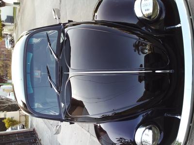 Volkswagen Beetle • 1991 • 100 km