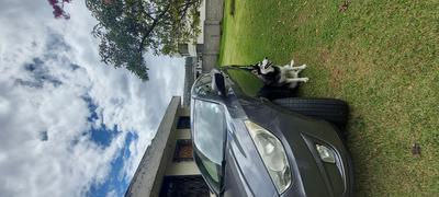 Hyundai Tucson • 2011 • 250,000 km