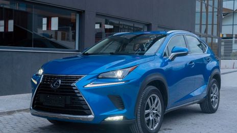 Lexus NX • 2020 • 20,000 km