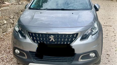 Peugeot 2008 • 2019 • 41,000 km